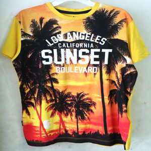 Tee Shirt