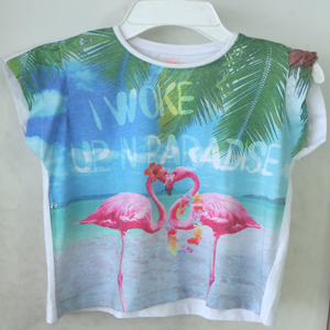 Tee Shirt